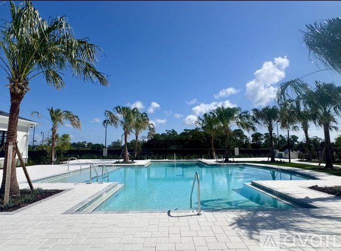 A palm tree stands in front of a pool with lounge chairs around it.