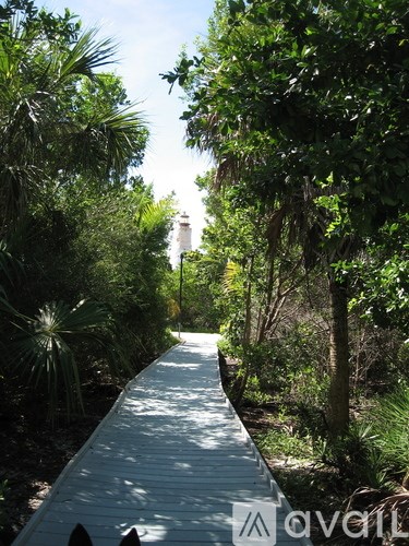 A wooden walkway leads through a lush green forest.