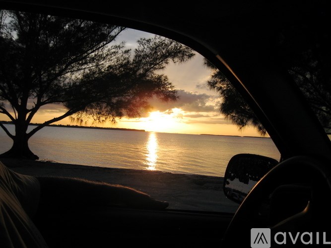 A car's side mirror shows a sunset view with a tree and water.
