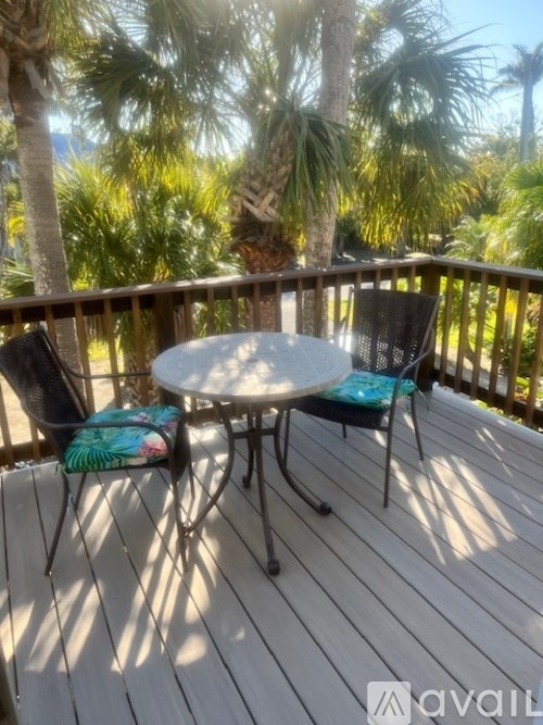 A table and two chairs are on a wooden deck with a palm tree in the background.