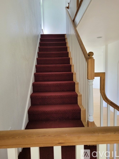 A red carpeted staircase with a wooden banister.