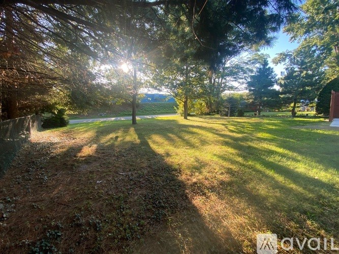 A pathway in a park with trees on either side and the sun shining through the branches.