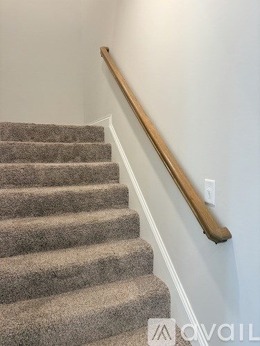 A staircase with a wooden handrail and beige carpeted steps.