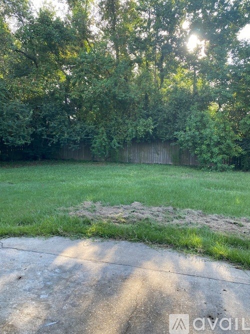 A backyard with a concrete slab and a wooden fence.