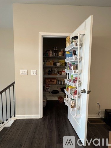 A white door with a glass window is open to a pantry.