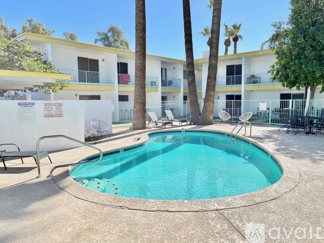 A pool surrounded by palm trees and chairs.