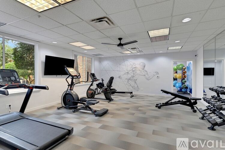 A gym with treadmills, exercise bikes, and other equipment.