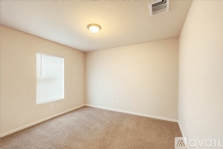 A room with a carpeted floor and a window.
