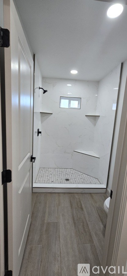 A bathroom with a walk-in shower and a toilet.