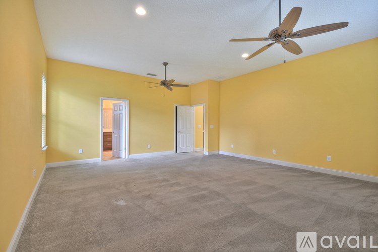 A spacious room with a ceiling fan and carpeted floor.