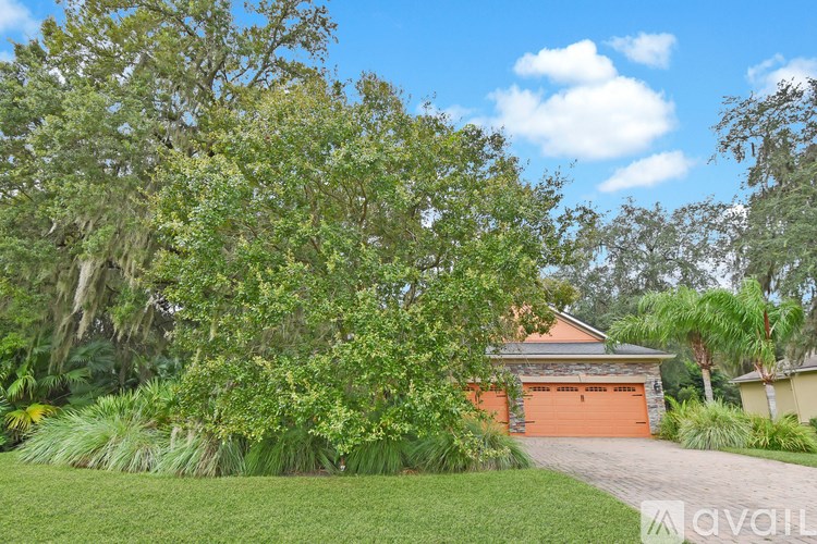 A house with a large tree in front of it.