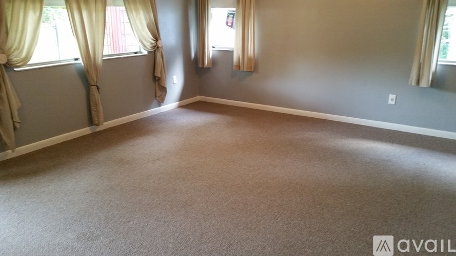 A room with carpeted floor and two windows with curtains.