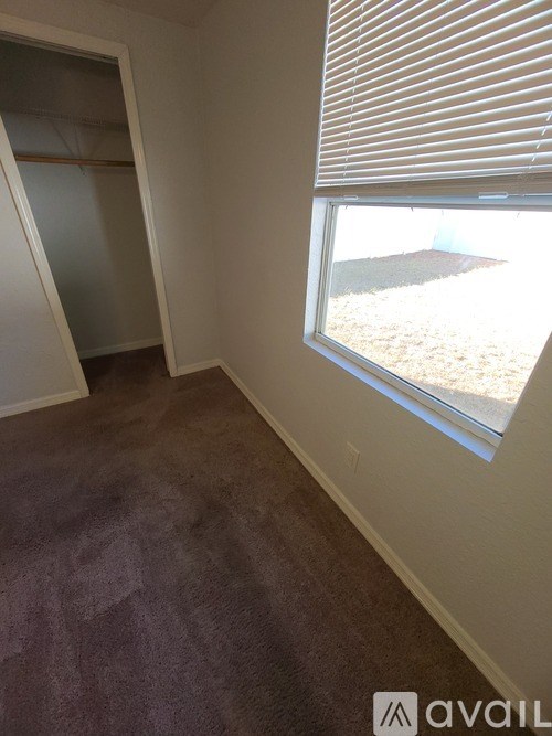 A room with a window and a carpeted floor.