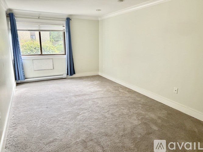 A room with a carpeted floor and a window with blue curtains.