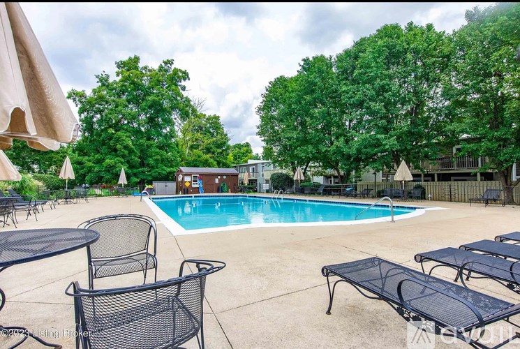 A pool surrounded by trees and chairs.