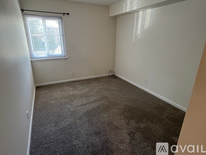 A carpeted room with a window and a white wall.