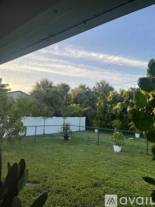 A view from inside a room looking out to a fenced yard with green grass and trees.