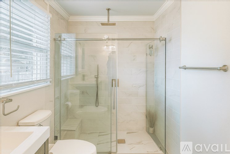 A bathroom with a walk in shower and a toilet.