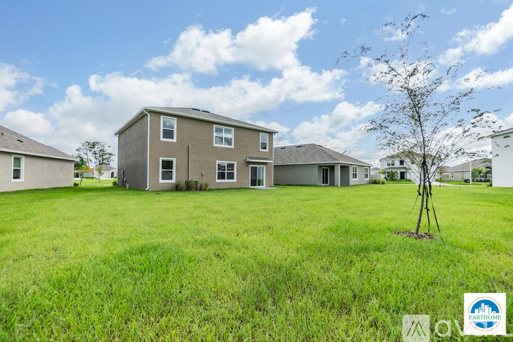 A tree stands in a grassy field in front of a house.