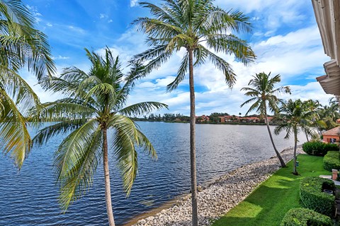 a view of the water from a house with palm trees