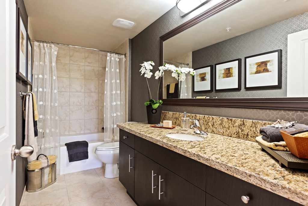 a bathroom with a sink and a toilet and a mirror
