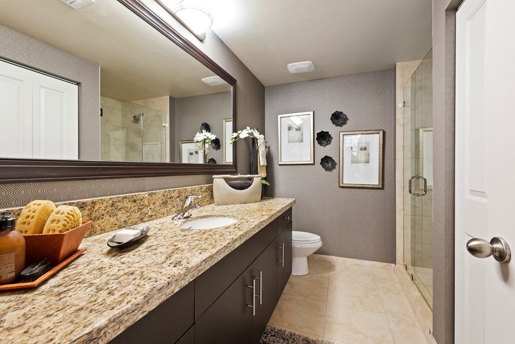 a bathroom with a sink and a toilet and a mirror