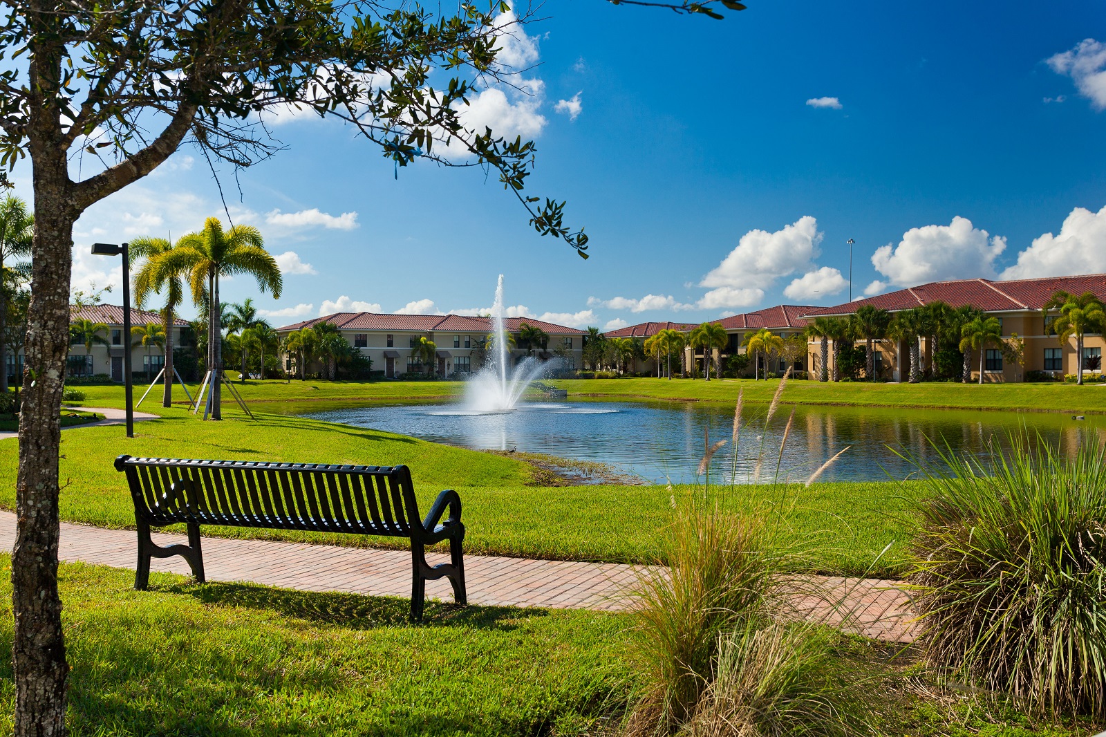 a park bench overlooking a pond with a fountain