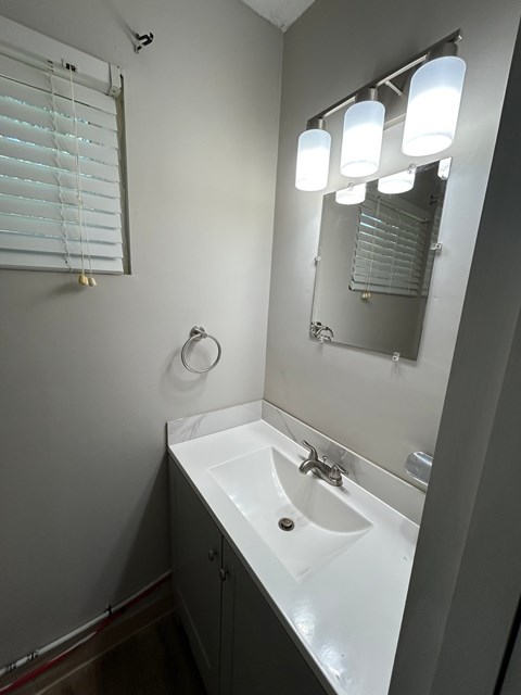 A bathroom with a sink and mirror.