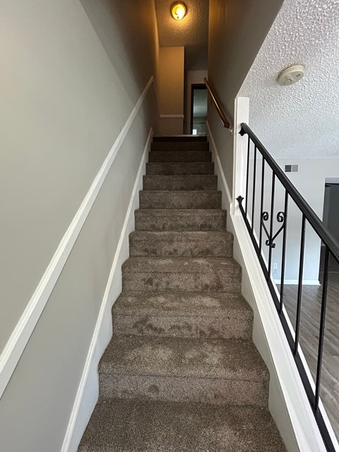 A staircase with a carpeted runner and black handrails.