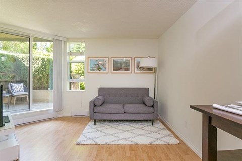 A living room with a grey couch and a white rug.