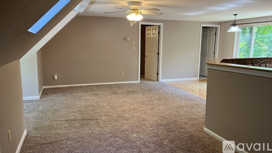 A room with a carpeted floor and a ceiling fan.