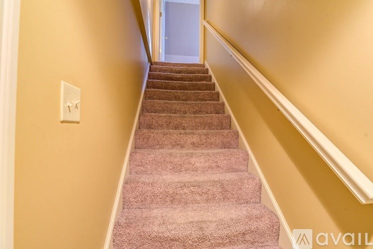 A staircase with a carpeted runner and a switch on the wall.
