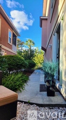 A narrow alley with a stone pathway and plants on either side.