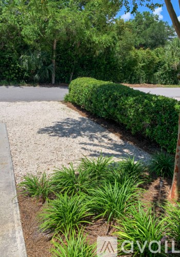 A gravel path leads through a garden.