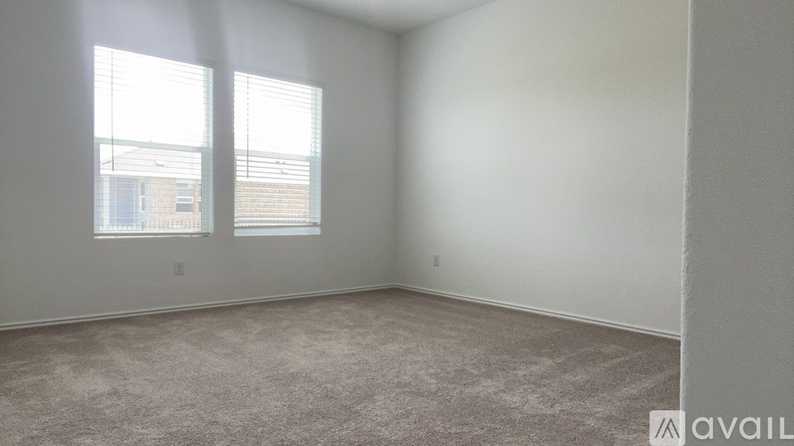 A room with carpeted floor and two windows.