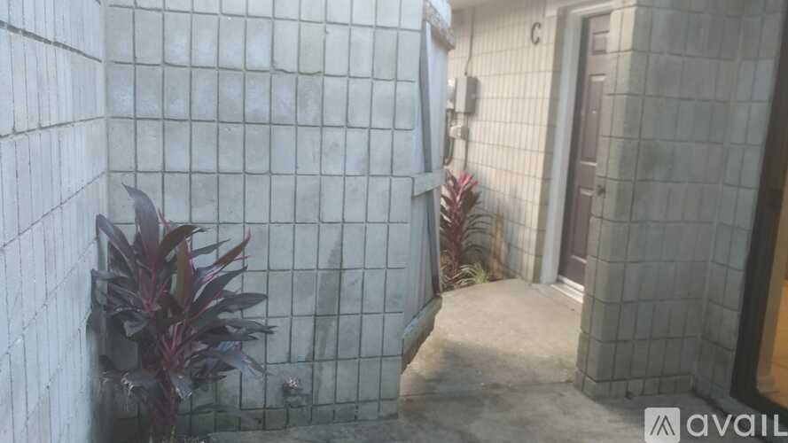 A small courtyard with a tiled wall and a door.