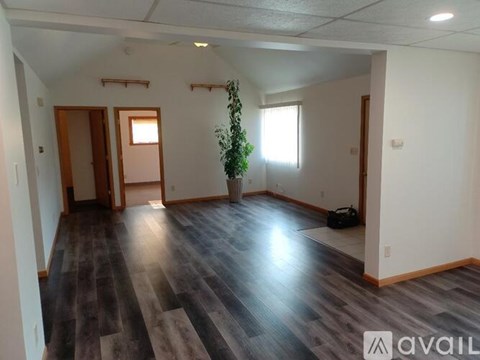 A room with wooden flooring and a plant in the corner.