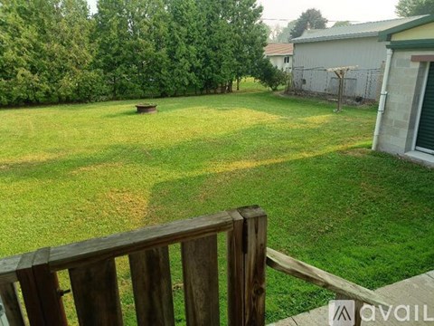 A backyard with a wooden fence and a green lawn.