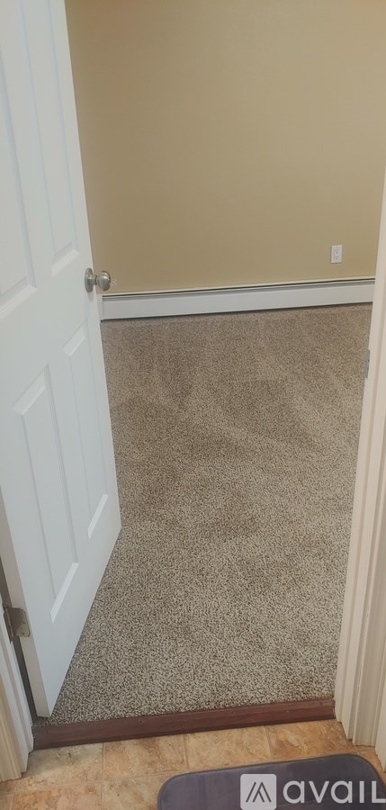 A hallway with a carpeted floor and a white door.