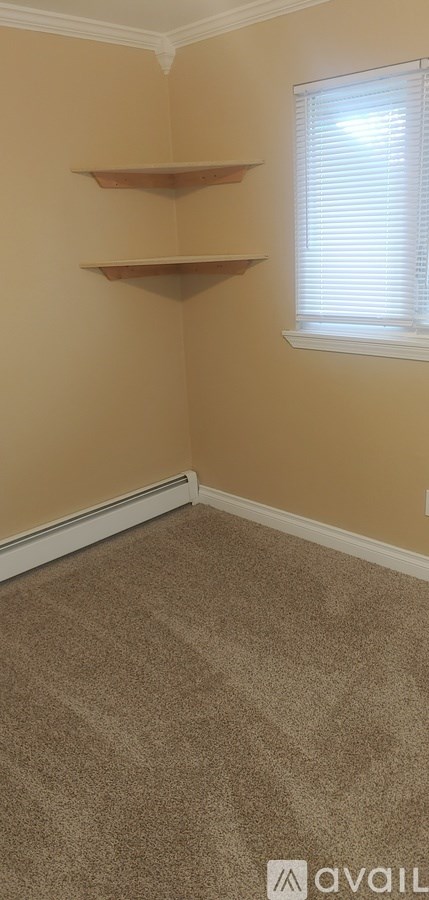 A room with a window and a carpeted floor.