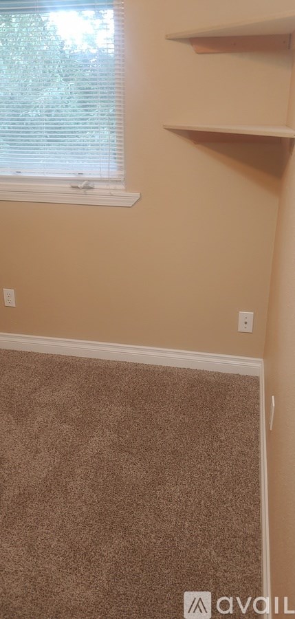 A room with a carpeted floor and a window with blinds.