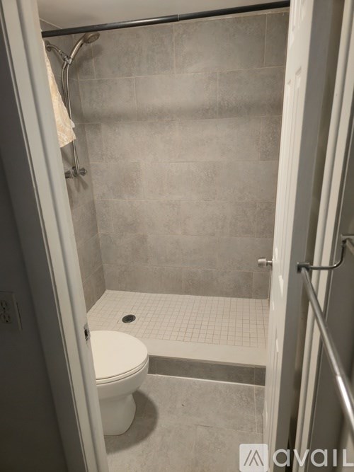 A bathroom with a toilet and a walk-in shower.