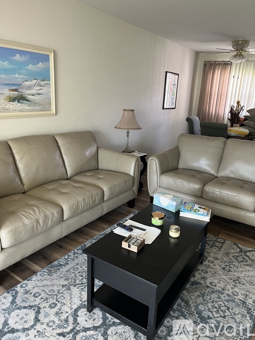 A living room with a television on a stand and a plant to the left.
