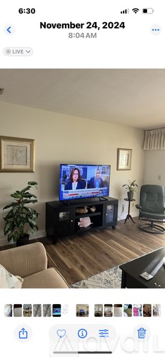 A living room with a television on a stand and a plant to the left.
