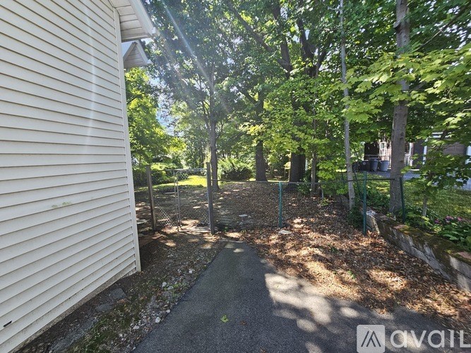 A sunny day in a backyard with a fence and trees.