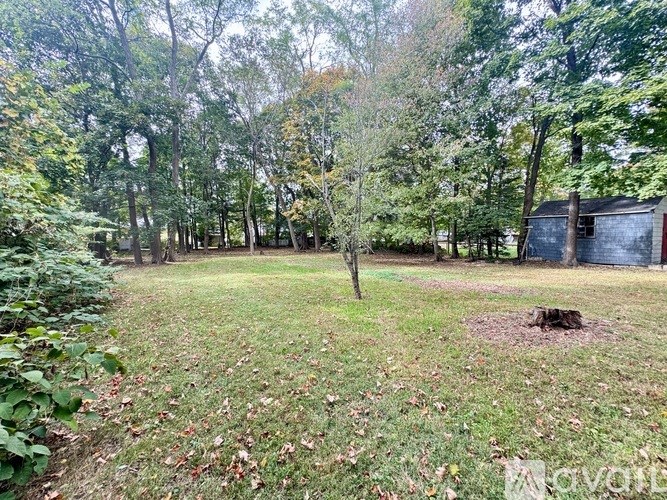 A backyard with a tree stump in the middle of the grass.