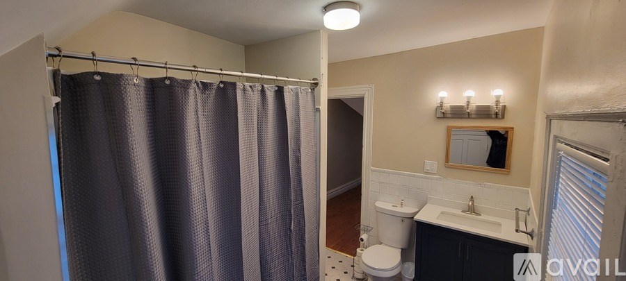 A bathroom with a toilet, sink, and shower curtain.