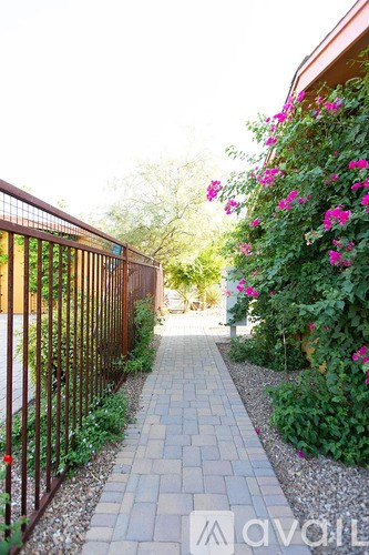 A narrow pathway with a metal fence on the left and a bush with pink flowers on the right.