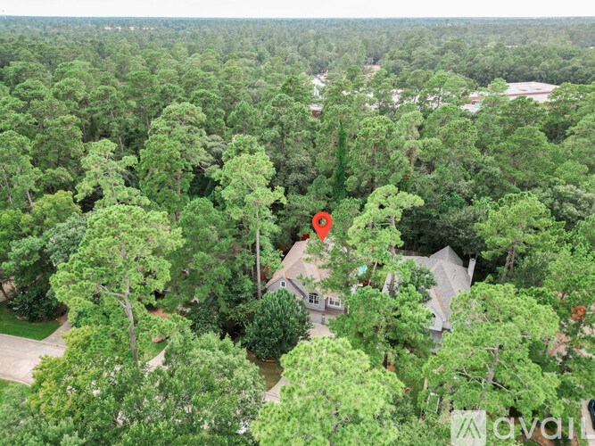 A bird's eye view of a lush green forest with a red marker on one of the trees.