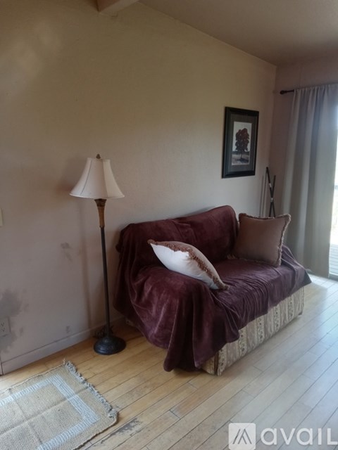 A lamp stands next to a sofa in a living room.